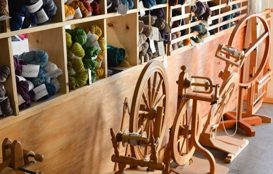Check out the top 5 spots in Oakland's Paradise Park neighborhood