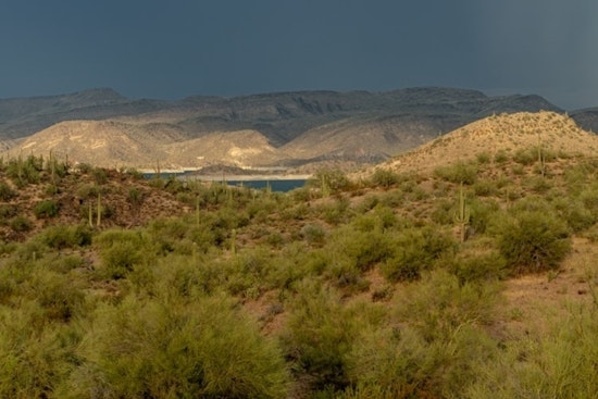 Top Phoenix news: FBI warns of domestic terror threat; body pulled from golf course pond; more