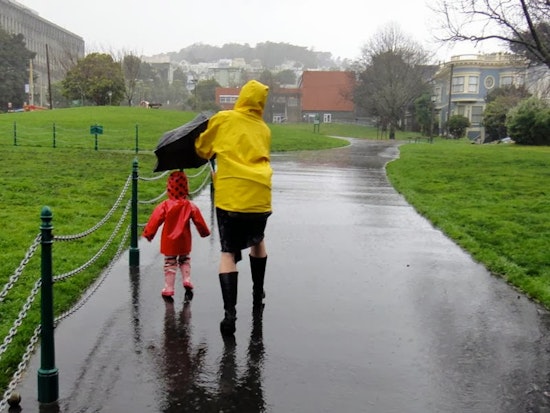 Rain Washes Out Duboce Park Tag Sale