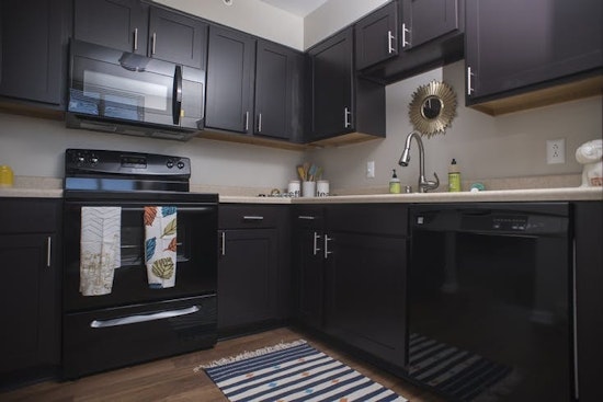 The latest budget apartments for rent in Central Business District, Louisville