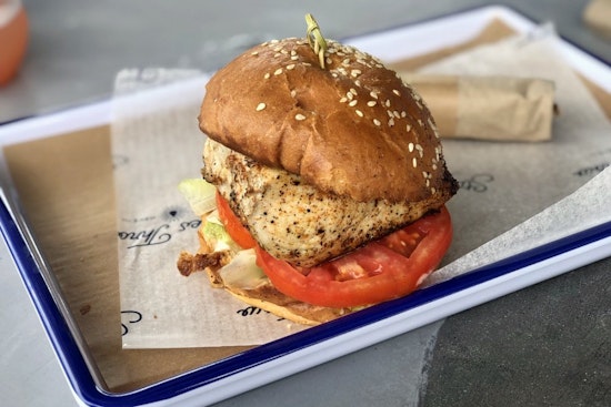 Here are the 3 freshest new businesses to launch in Tampa