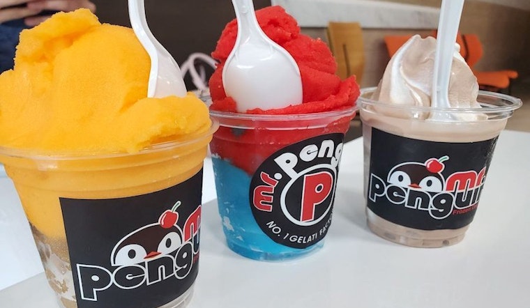 Get Italian ice and more at West Meadows's new Mr. Penguin New Tampa