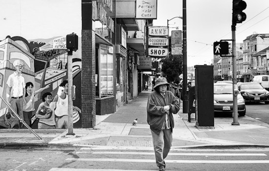 Excelsior-Outer Mission Crime: Pedestrian Assaults Driver, Kenny Alley Robbery, More