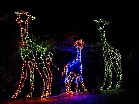 Hella Bright Lights, Big City: 5 Impressive Holiday Displays In Oakland