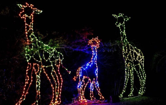 Hella Bright Lights, Big City: 5 Impressive Holiday Displays In Oakland