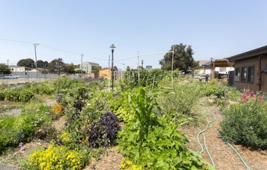 Take Root: OMCA Exhibit Spotlights City's Agricultural Community