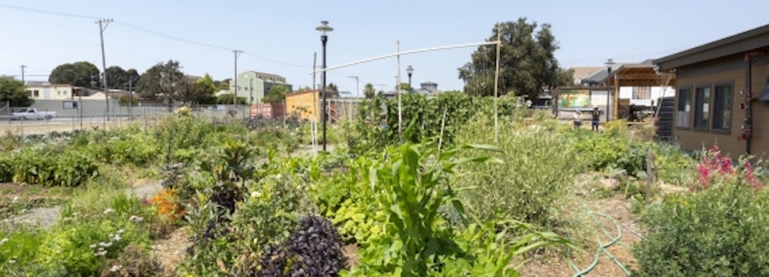 Take Root: OMCA Exhibit Spotlights City's Agricultural Community