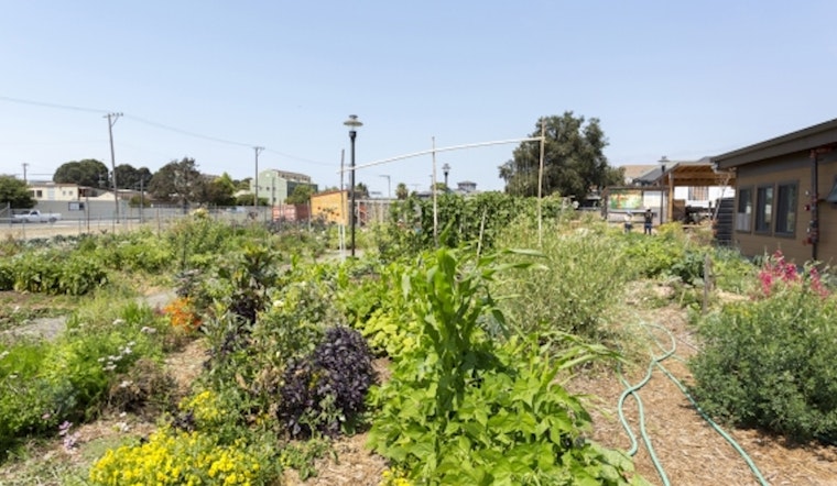 Take Root: OMCA Exhibit Spotlights City's Agricultural Community