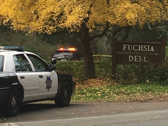 Body Found Near Fuchsia Dell In Golden Gate Park [Updated]