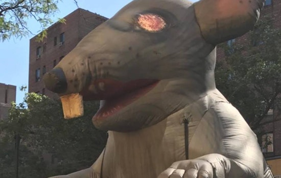 Top Chicago news: Scabby the inflatable rat may be banned from picket lines; local gator gains fans