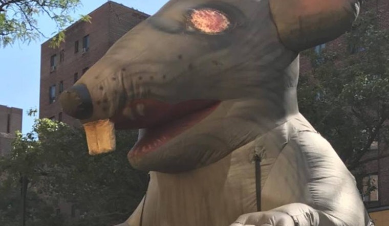 Top Chicago news: Scabby the inflatable rat may be banned from picket lines; local gator gains fans