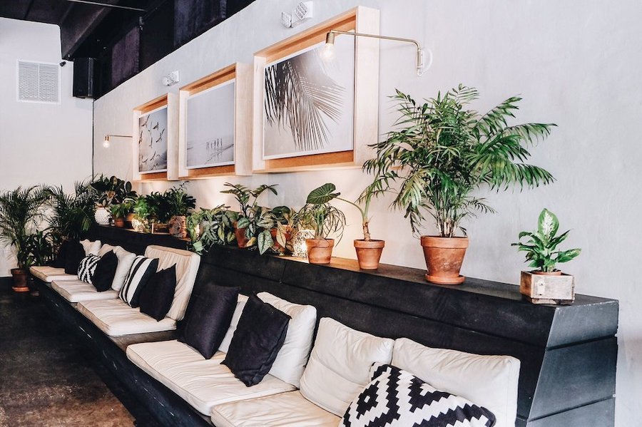 Orlando's top 5 lounges to visit now