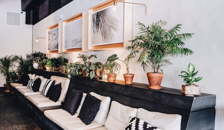 Orlando's top 5 lounges to visit now