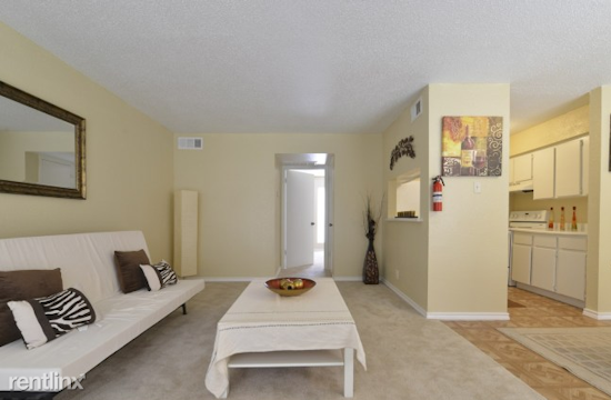 What's The Cheapest Rental Available In Spring Branch West, Right Now?