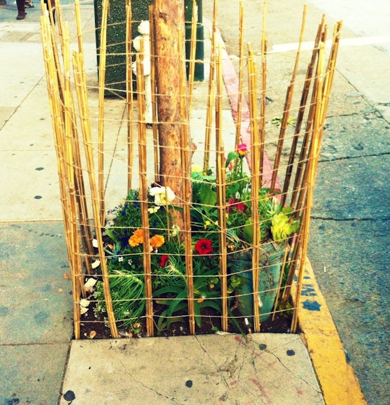 Haight Street Sidewalk Shrines Multiplying