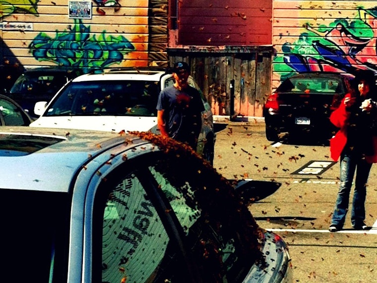 Bees Stop in Haight Parking Lot