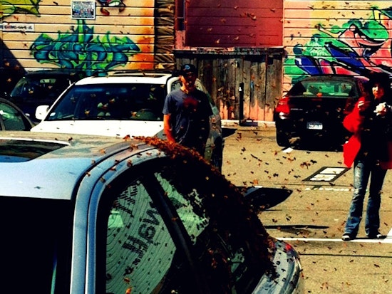 Bees Stop in Haight Parking Lot