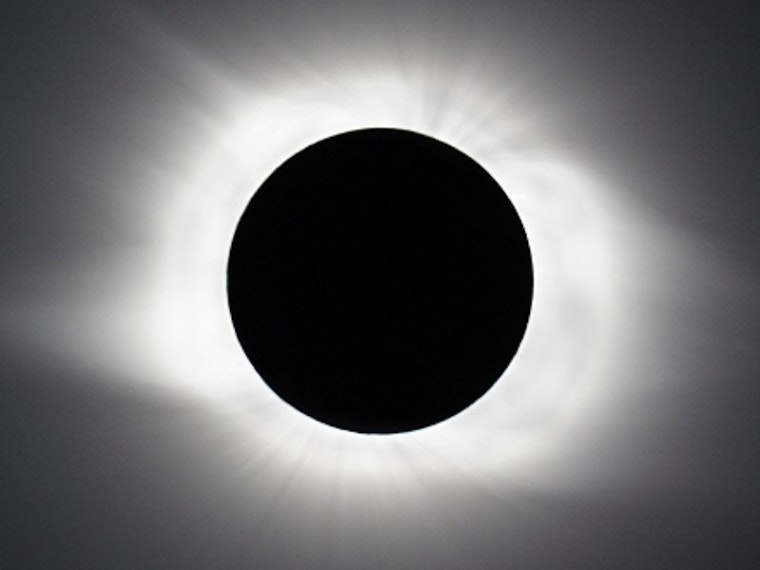 Total Eclipse of the Park