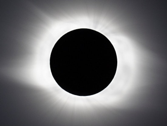 Total Eclipse of the Park