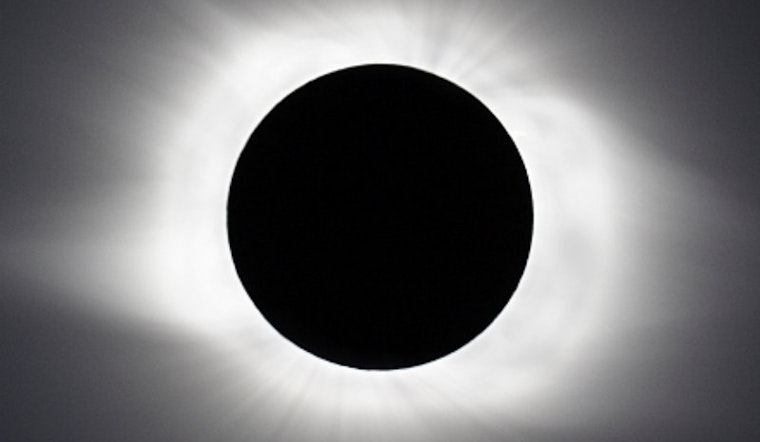 Total Eclipse of the Park