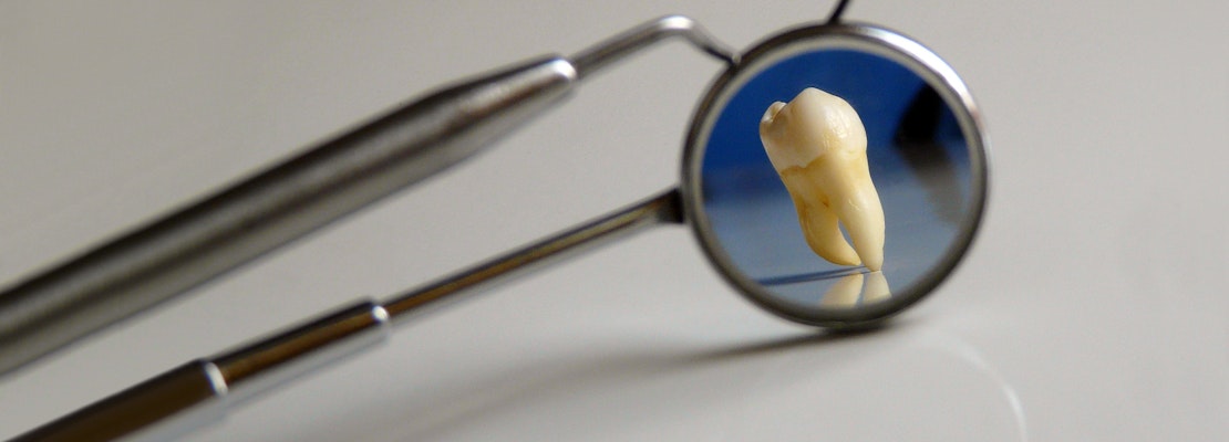 The 6 Best Dentists In Oakland, CA