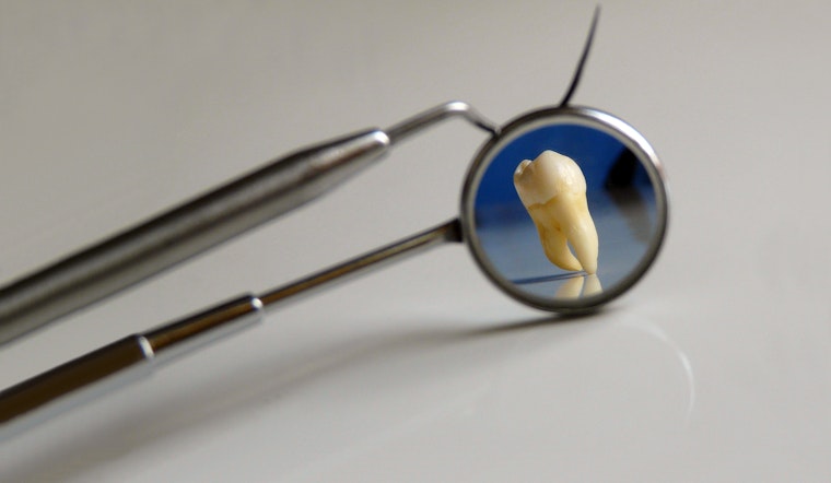 The 6 Best Dentists In Oakland, CA