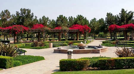 The 5 best parks in Irvine