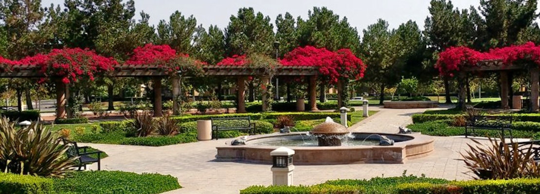 Zhkibm5nir0arm Zhkibm5nir0arm