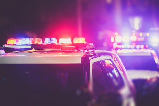 Top Miami crime news: Police cruiser stolen from officer's home; social media star arrested; more