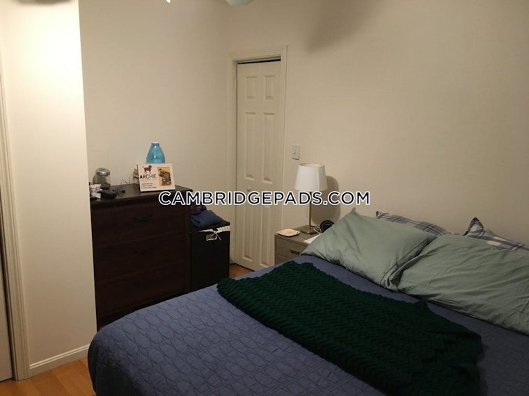 The best-priced budget apartments for rent in Peabody, Cambridge