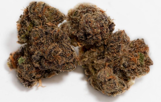 Ingleside cannabis sales go to pot with loss of both local dispensaries