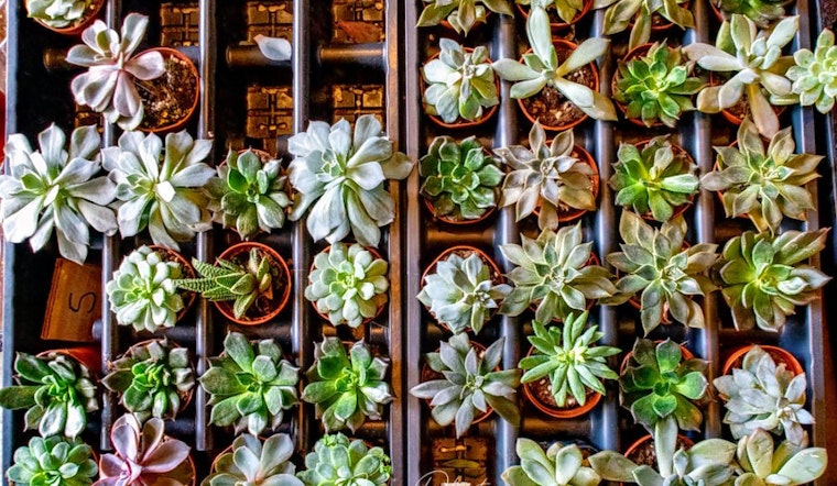 Your guide to the 5 most popular spots in Cambridge's West Cambridge neighborhood