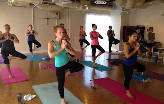 Get moving at Tampa's top yoga studios