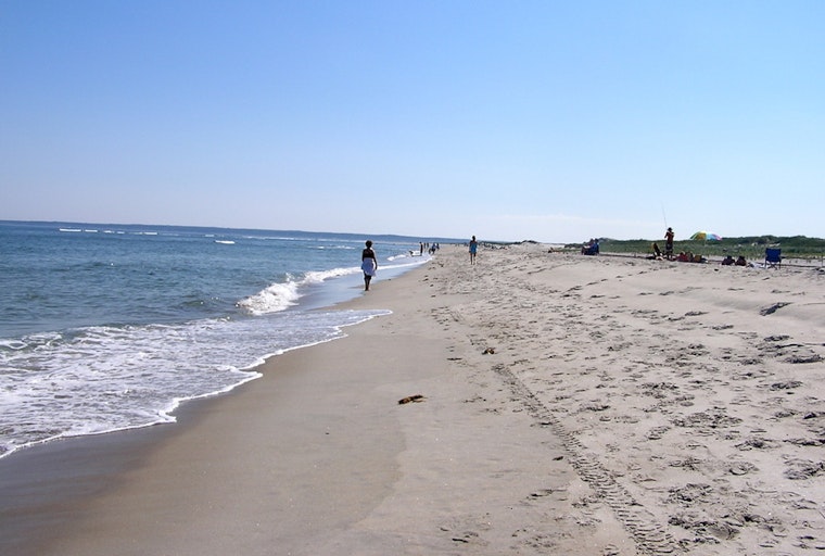 Top Boston news: Fecal bacteria found at local beaches; resources urged for opioid crisis; more