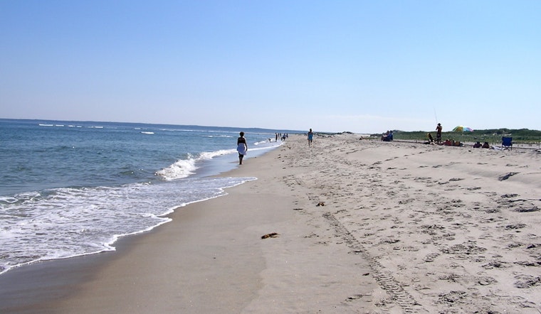 Top Boston news: Fecal bacteria found at local beaches; resources urged for opioid crisis; more