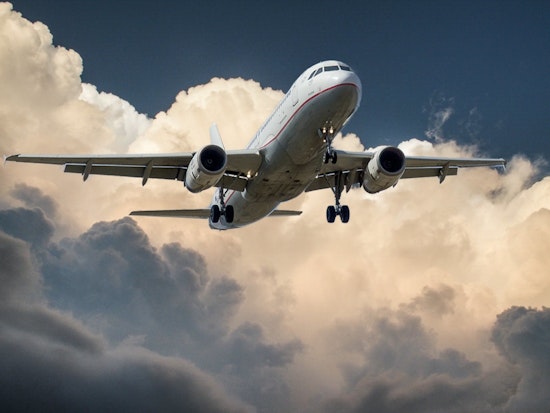 Top Phoenix news: Mom-and-pops fret over Prop 105; 'unruly passenger,' plane diverted; more