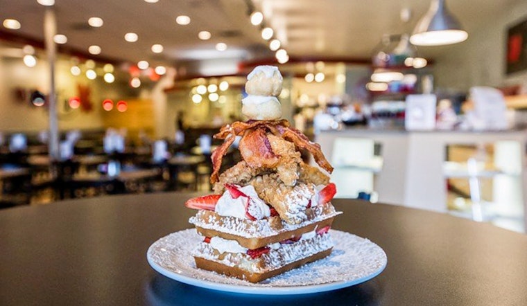 Explore the 5 most popular establishments in North Dallas