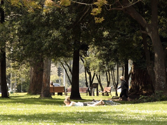 The Weekend = Golden Gate Park