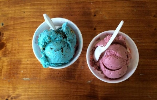 Craving ice cream and frozen yogurt? Here are St. Petersburg's top 4 options