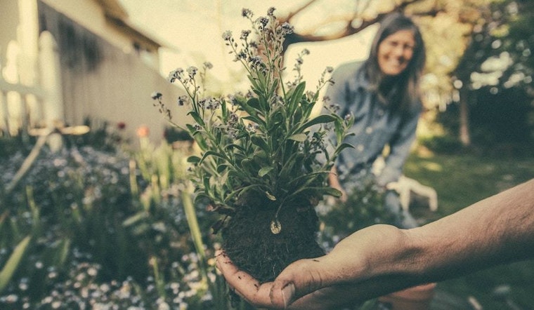 3 events worth checking out in Tucson this week