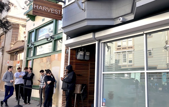 'Harvest Off Mission' Begins Recreational Cannabis Sales In Bernal Heights