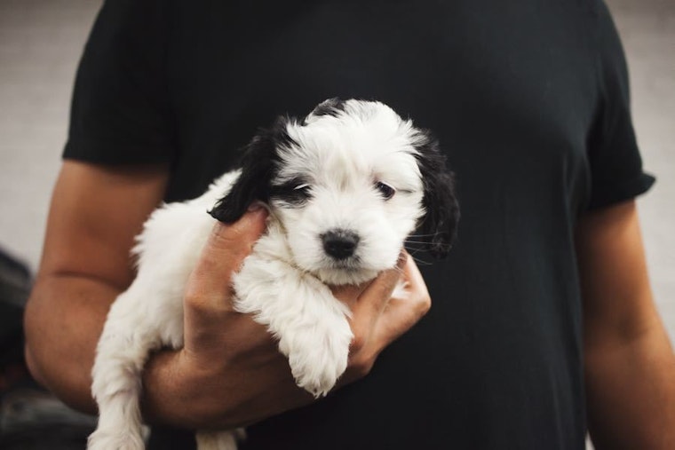 3 choice charity events in Austin this weekend