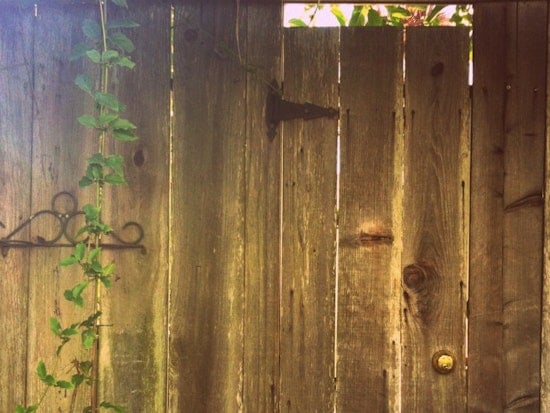 Secret Garden