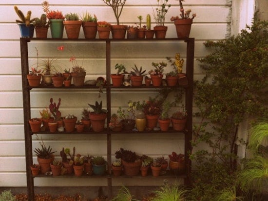 Secret Garden II: Another Hidden Oasis