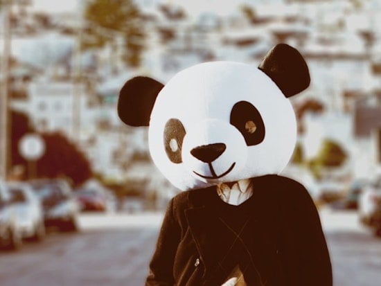 Panda Project: The Purple Onion, the Movie