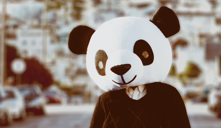 Panda Project: The Purple Onion, the Movie