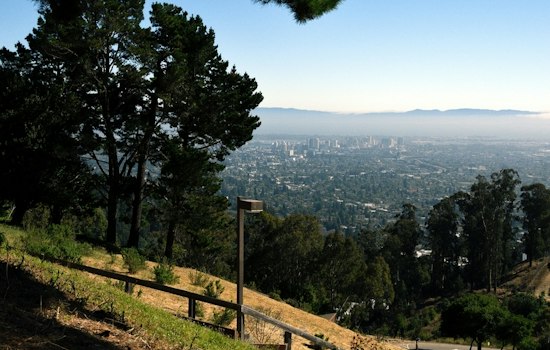 Top Berkeley news: Person injured in assault near campus; UC Berkeley welcomes Class of 2023