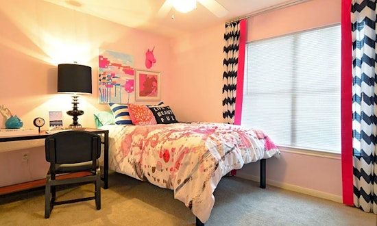 Apartments for rent in Austin: What will $800 get you?