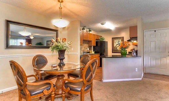 Budget apartments for rent in Rosemont, Orlando