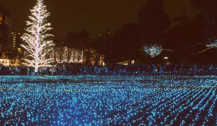 Magic Christmas Tree